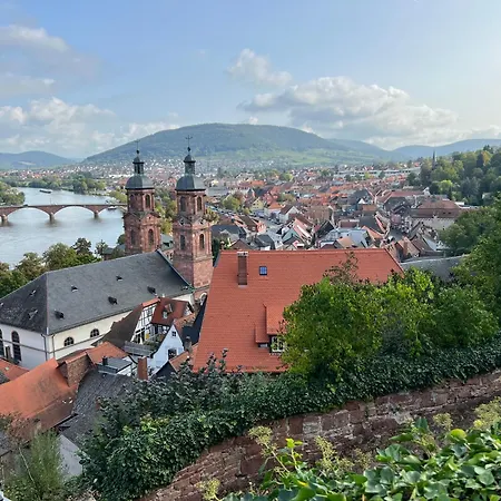 Schoenes Studio Fuer Ihren Kurzurlaub In Miltenberg Apartment *